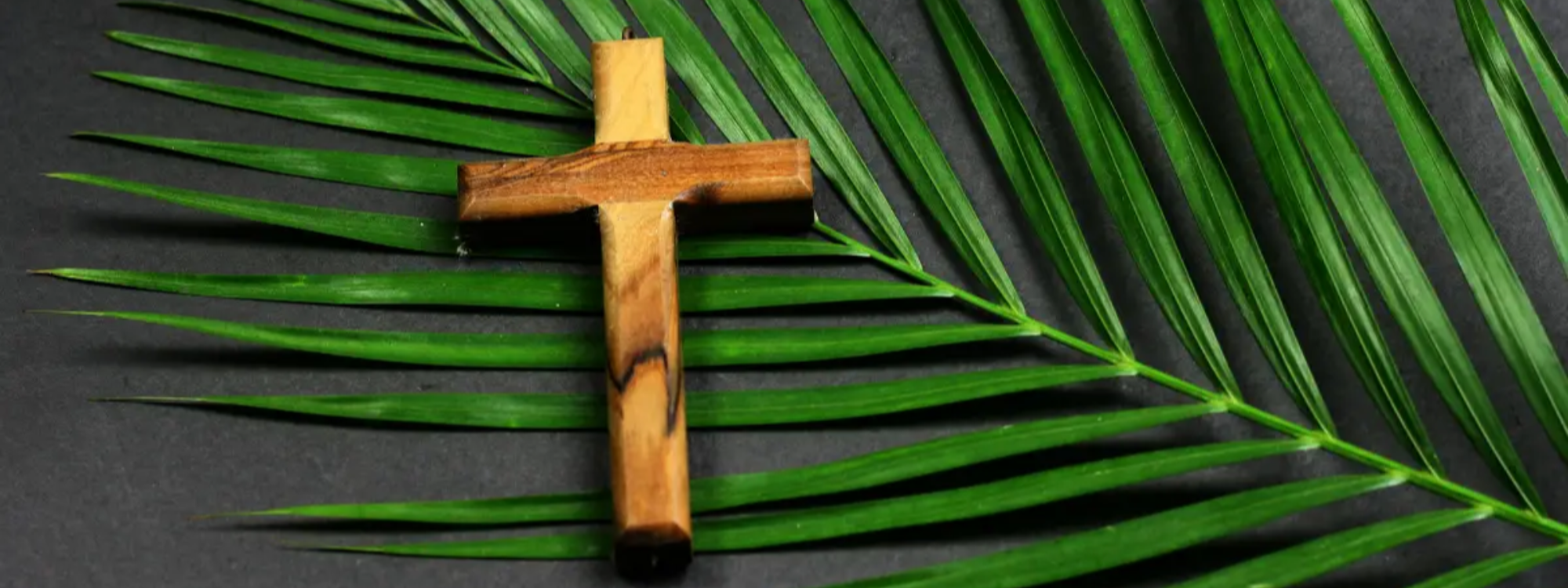       Palm Sunday Service

Sunday 29th March 10.30am
