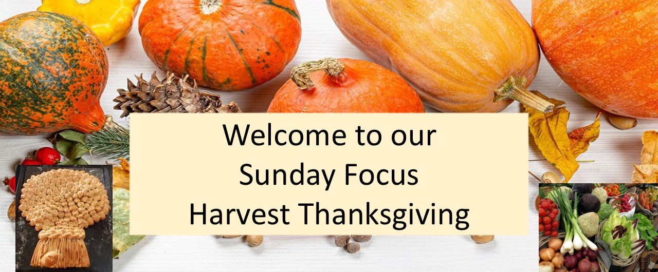 harvest Welcome s focus